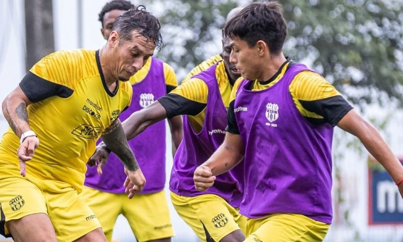 Barcelona será dirigido este año por Alejandro Castillo / Foto: cortesía Barcelona