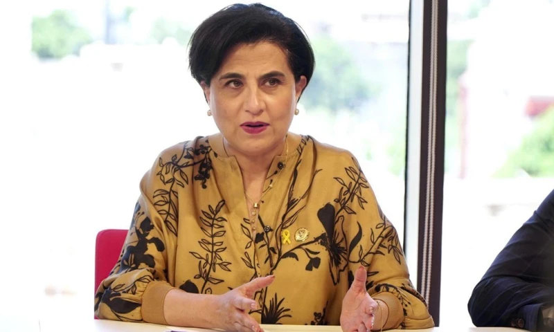 Ecuador hizo un llamado a la comunidad internacional para que esté vigilante de esta penosa situación / Foto: cortesía Cancillería