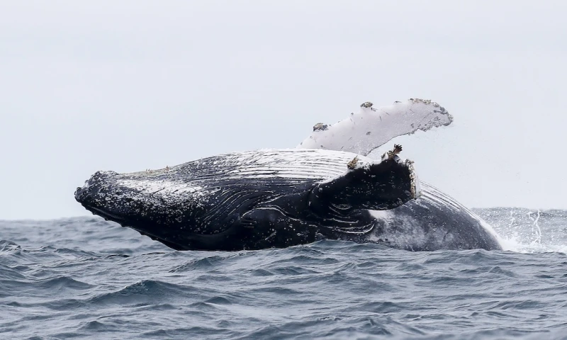 El ministro de Turismo recordó que esta temporada es también una época que dinamiza las economías locales / Foto: EFE