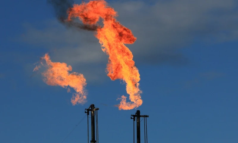 Petroecuador busca lanzar en una primera fase, 100 pozos en grupos de 25, mismos que tienen un potencial total de cerca de 15.000 barriles de petróleo. / Foto: El Oriente