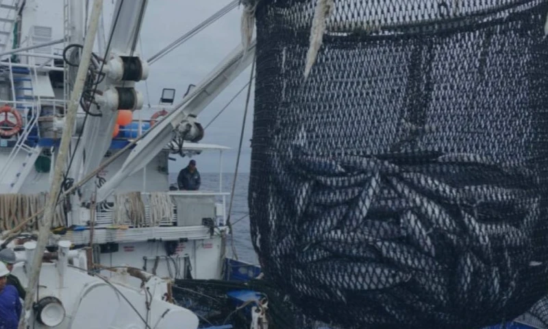 Su incremento "afectará la competitividad del Ecuador en mercados estratégicos como la Unión Europea" / Foto: cortesía 