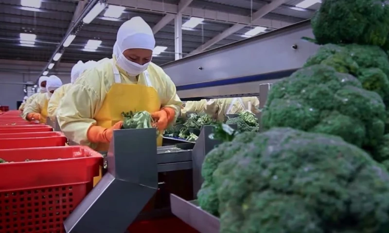 Banco Pichincha informó que ha canalizado alrededor de USD 2.500 millones hacia actividades agroproductivas / Foto: cortesía MAGP