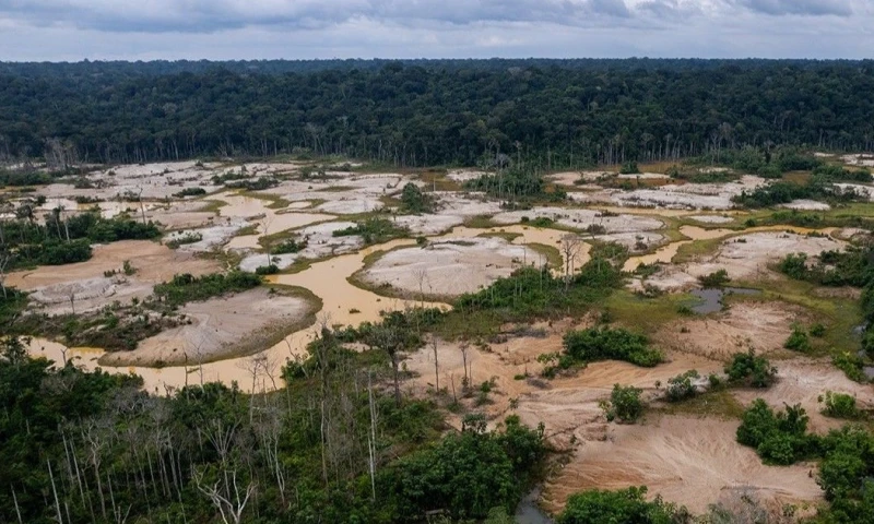 Esta situación expone a miles de trabajadores a condiciones laborales precarias / Foto cortesía Diego Pérez  SPDA