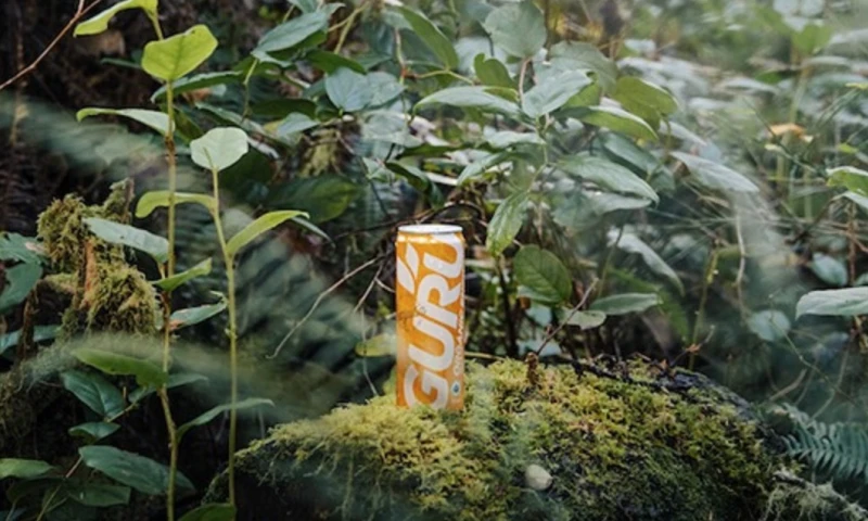 Una empresa canadiense pone sus ojos en la guayusa de la Amazonía ecuatoriana / Foto: cortesía