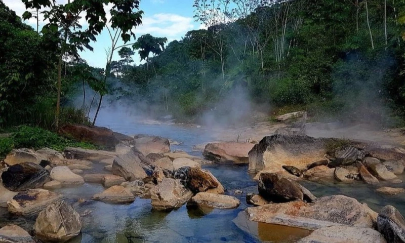 El estudio preliminar identificó nueve especies de peces, 23 tipos de anfibios, 11 clases de reptiles y 28 familias de insectos / Foto: cortesía Visit Huanuco