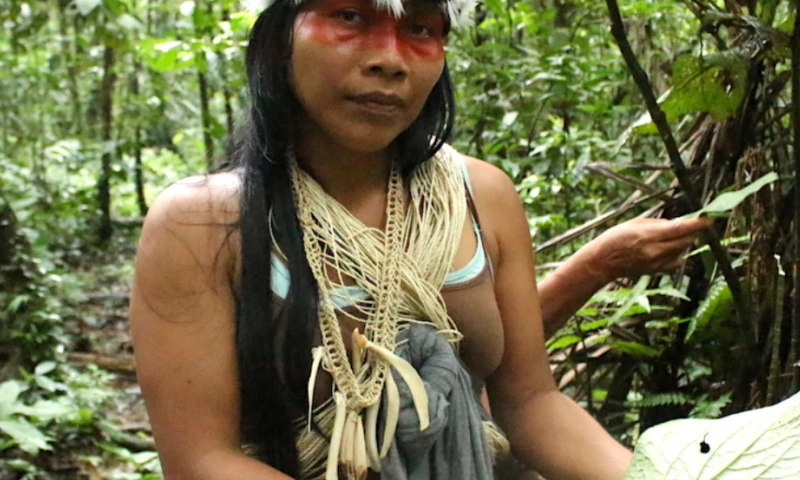 Foto: Mongabay