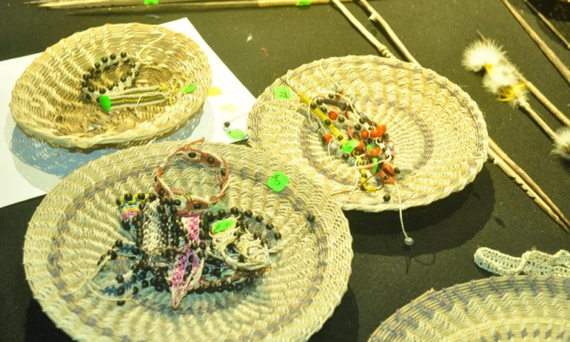 La chambira, planta aprovechada en la Amazonía - Foto: La Hora