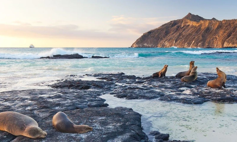 Galápagos es Patrimonio Natural de la Humanidad desde 1978 / Foto: cortesía Viceministerio de Turismo