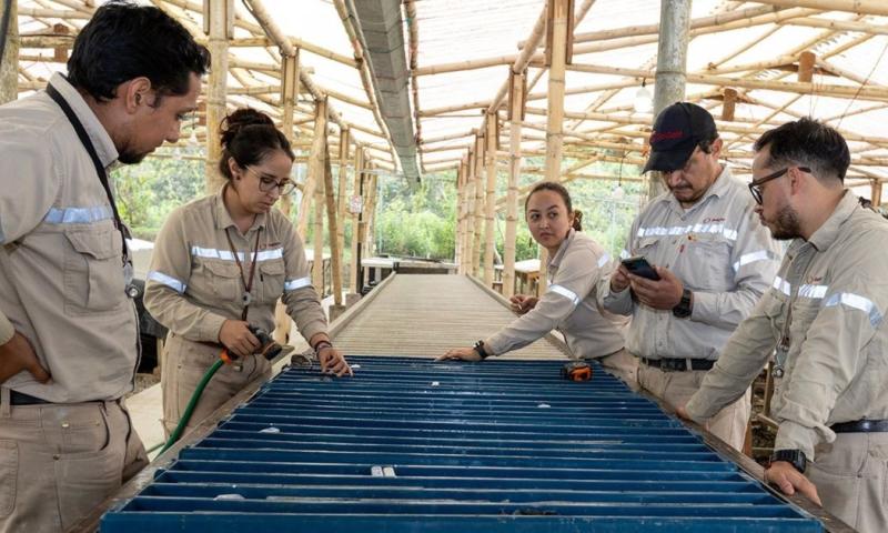 La minera australiana SolGold iniciará en 2026 las obras tempranas de su proyecto Cascabel / Foto: cortesía