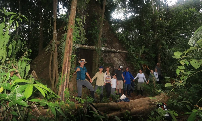 21 de marzo, Día Internacional de los Bosques / Foto: El Oriente