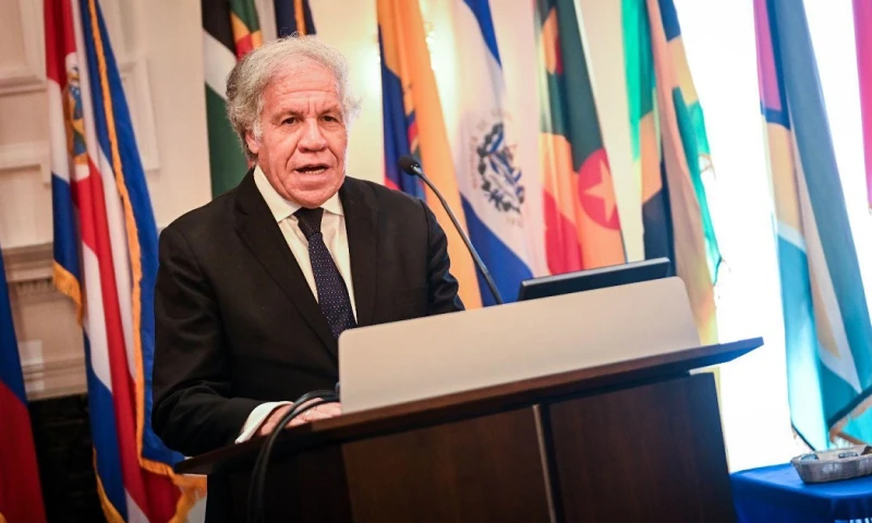 "La seguridad de los candidatos es fundamental para mantener la confianza en el sistema democrático y asegurar que las voces de todos los ciudadanos puedan ser escuchadas de manera libre y sin temor" / Foto: cortesía