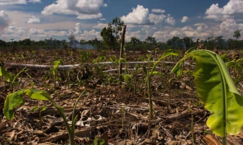 Solo el 34 % de las tierras agrícolas en Perú tienen títulos de propiedad / Foto: cortesía Oxfam