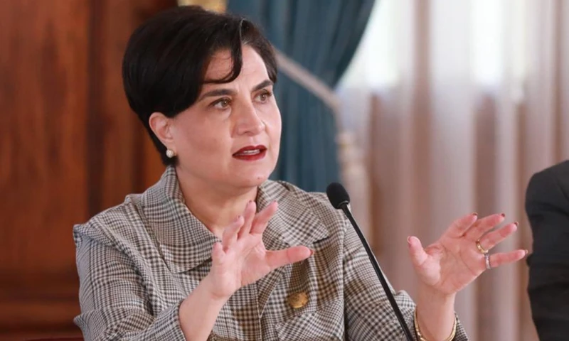 Ecuador busca que se otorgue el EPT mientras se mantenga el conflicto armado no internacional en el país / Foto cortesía Cancillería