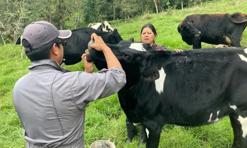 2 unidades móviles veterinarias recorren la provincia/ Foto: cortesía MAG