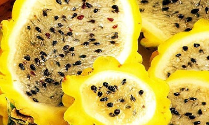 La pitahaya es muy apetecida en los mercados internaiconales / Foto: cortesía Camae