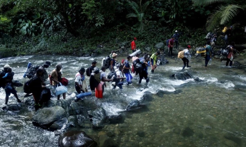 En enero de este año entraron por el Darién 2.158 migrantes / Foto: EFE