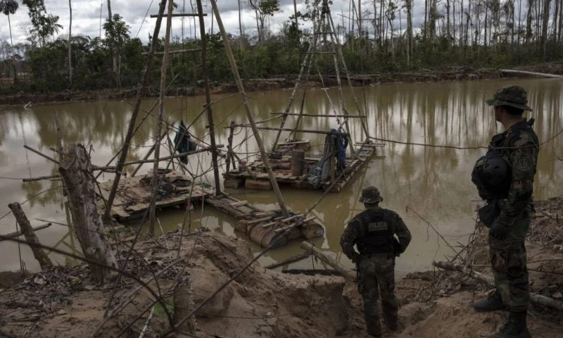 El avance de economías ilícitas y su influencia política generan preocupación en el proceso electoral, ante el riesgo de captura del Estado y aumento de la criminalidad./ Foto: cortesía