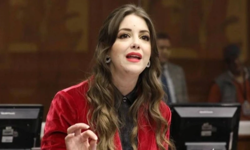 Mónica Palacios es asambleísta de la Revolución Ciudadana (RC) / Foto: cortesía Asamblea Nacional