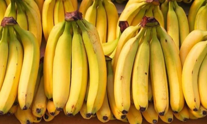 Principales noticias de Ecuador hoy - 12 de septiembre de 2025 / Foto: cortesía Camae