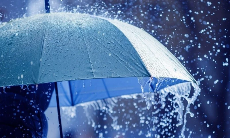 Las zonas más afectadas se encuentran en las provincias costeras de Guayas, Manabí, y la tropical de Los Ríos/ Foto: cortesía