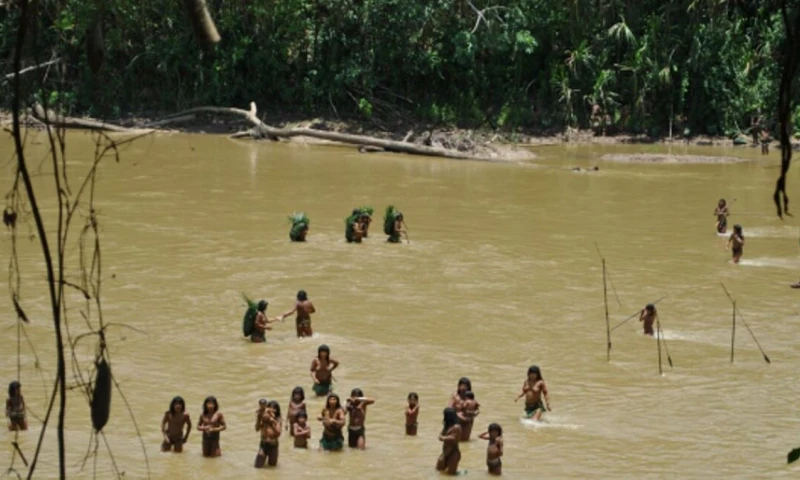 Los pueblos indígenas criticaron al FSC por no actuar frente a lo que califican como violaciones de derechos humanos / Foto: cortesía 