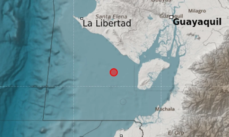 El movimiento telúrico se originó a 10 kilómetros de profundidad y, de acuerdo con usuarios en redes sociales, se sintió en la Isla Puná, ubicada en el golfo de Guayaquil/ Foto: cortesía IG