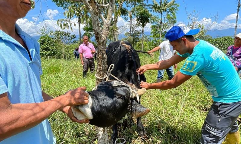 El ministerio de Agricultura y Ganadería lleva a cabo la ‘Escuela de Fortalecimiento Productivo Pecuario’ en el cantón Archidona, provincia de Napo / Foto: cortesía ministerio de Agricultura