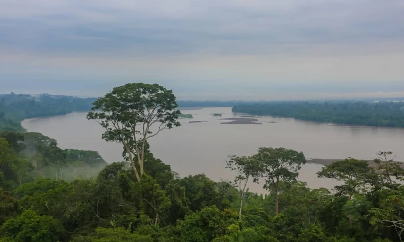 Dentro del Yasuní habitan los tagaeri, taromenane, dugakaeri, wiñatare y otros linajes / Foto: El Oriente