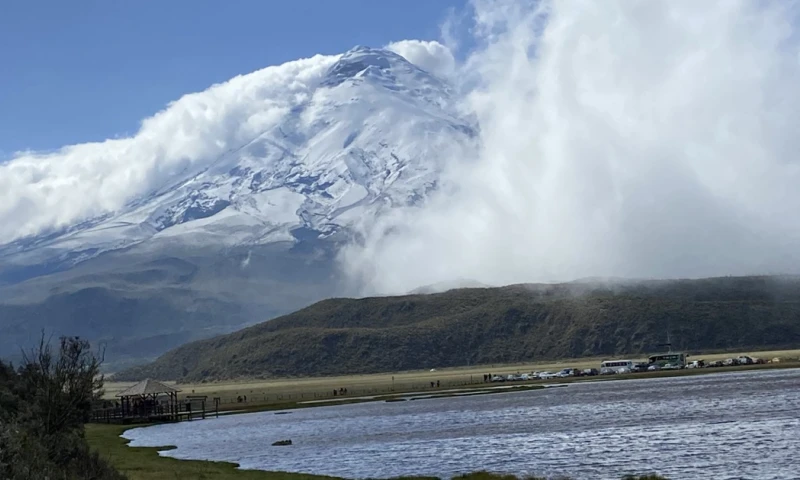 "Es fundamental en términos de poder construir una evidencia que permita un mejor posicionamiento de las áreas protegidas en el discurso público" 