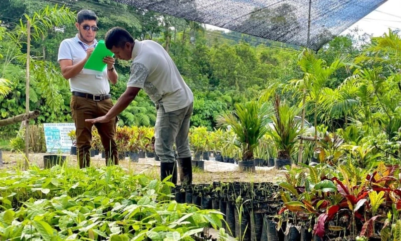 El MAG ha realizado 26 operativos en Napo durante el primer trimestre de 2025 / Foto: cortesía MAG