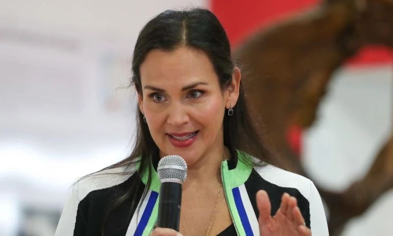 Manzano hizo estas declaraciones el mismo día en el que la CME anunció que interpuso una demanda contrala tasa de fiscalización minera / Foto: EFE