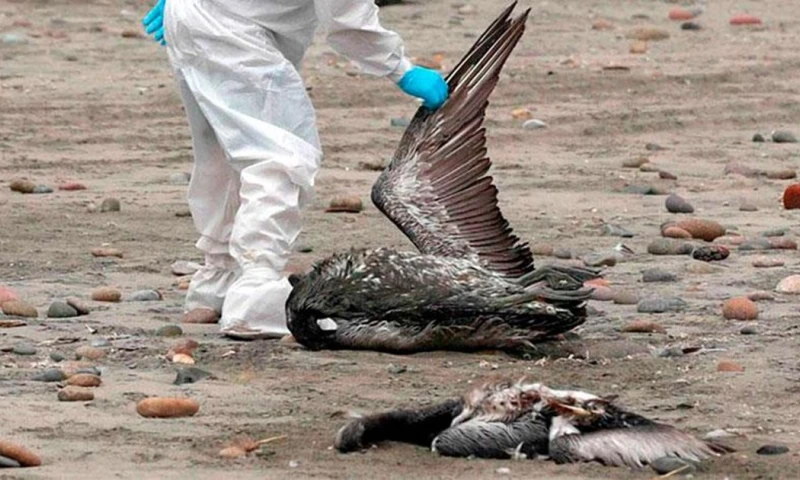La prohibición emitida por la autoridad del Parque Nacional Galápagos rige para las visitas terrestres a estos sitios / Foto: cortesía 