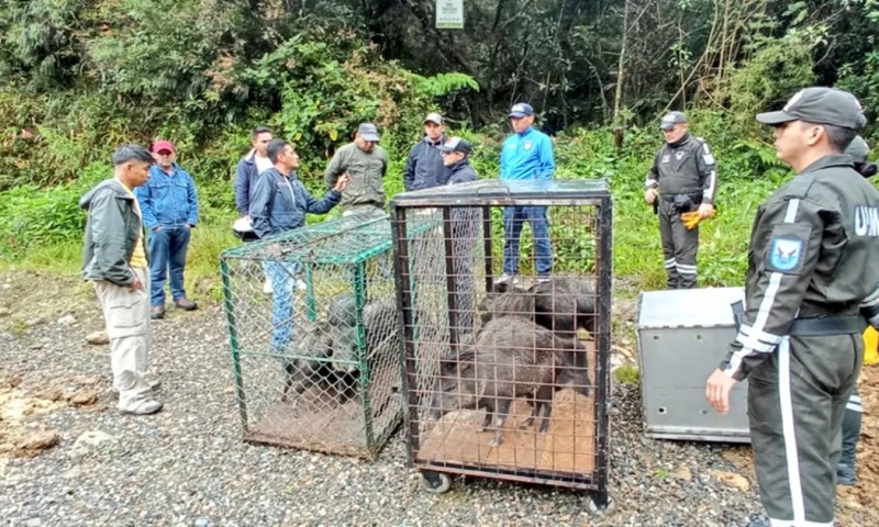 Principales noticias de Ecuador hoy - 4 de marzo de 2024 / Foto: cortesía MAATE