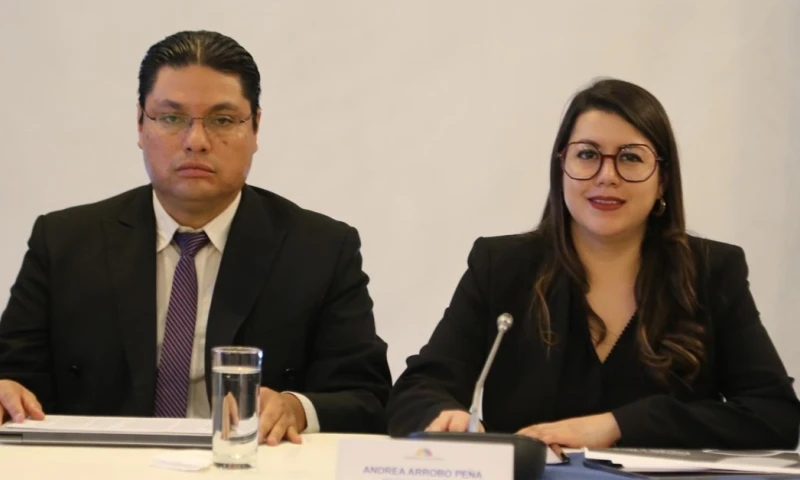 Así anunció ayer la ministra de Energía, Andrea Arrobo, en la Asamblea Nacional / Foto: cortesía Asamblea Nacional 