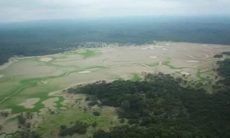 Se han encontrado peces y reptiles muertos en las orillas/ Foto: cortesía @Ecwillachik
