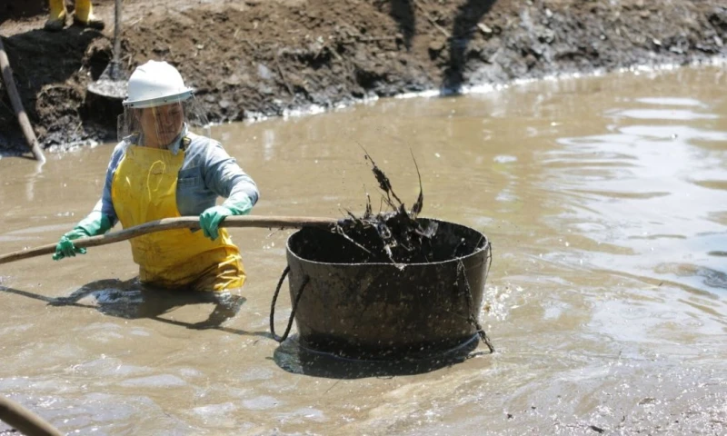 Petroecuador realiza tareas de remediación ambiental en las provincias amazónicas / Foto: cortesía MAE