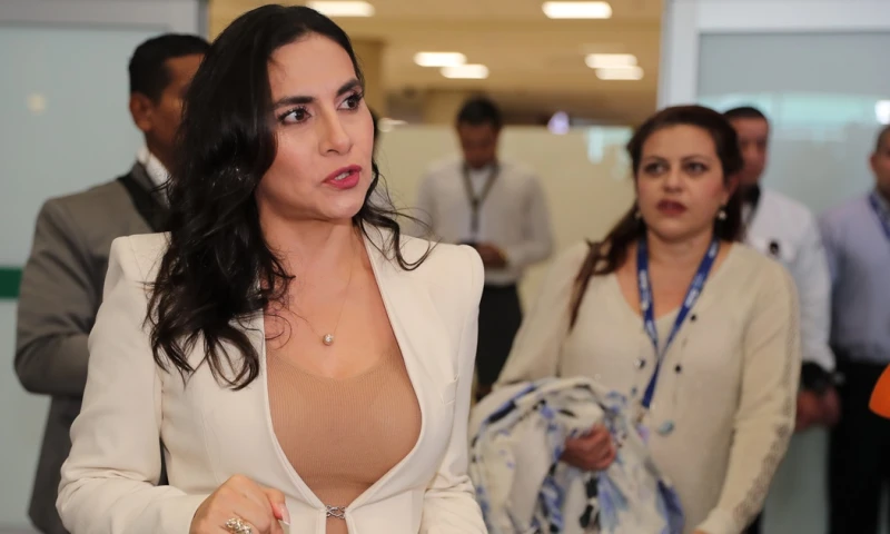 Abad se presentó personalmente a la audiencia sobre la acción de protección contra su suspensión / Foto: EFE