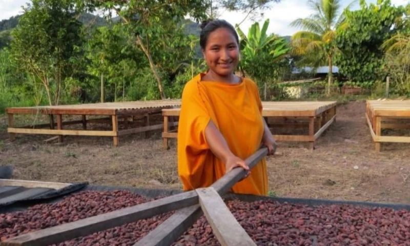 138 familias se reúnen para contabilizar los granos que forman parte de un sistema de préstamo entre vecinos / Foto: cortesía Agraria Perú