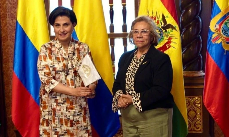 Lo hizo durante la XXXI Reunión del Consejo Andino de Ministros de Relaciones Exteriores / Foto: cortesía Cancillería