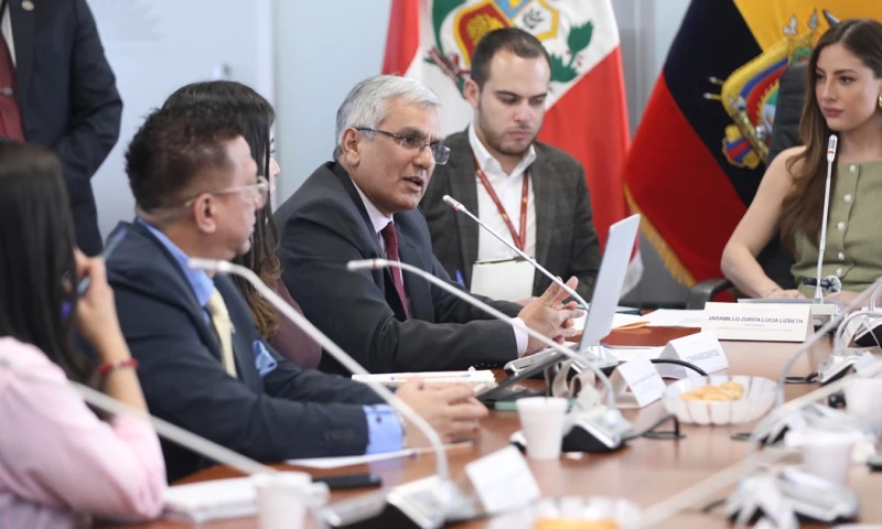 Eduardo Zeballos asistió a la Comisión de Relaciones Internacionales de la Asamblea Nacional./ Foto: cortesía Asamblea