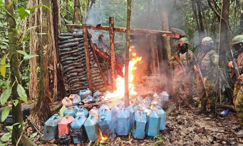 El descubrimiento se produjo en medio de la vegetación / Foto: cortesía Ejército Ecuatoriano