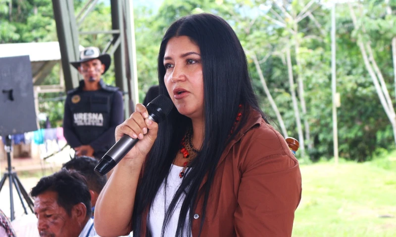 Con 10 votos a favor y 1 ausencia, el organismo dio su aval a esta propuesta./ Foto: cortesía Silvia Santi