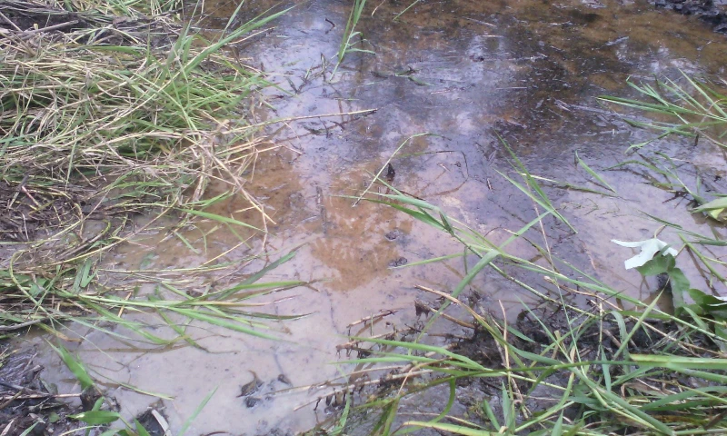 Foto: Radio Sucumbíos