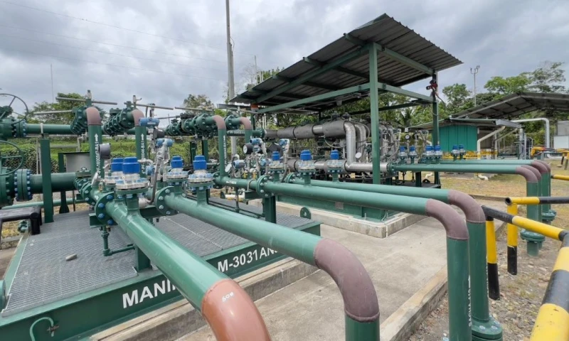 El país seguirá enfrentando ineficiencias económicas y ambientales si no existe una infraestructura o modelo de comercialización integrado / Foto: cortesía Petrecuador