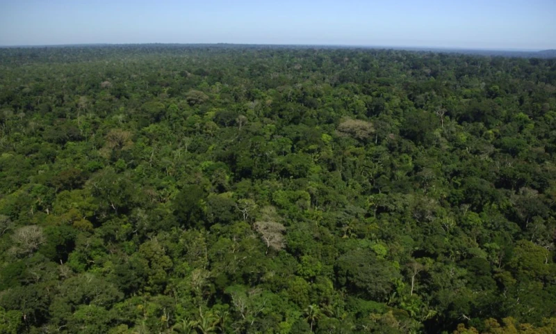  El Gobierno declaró toda la región como Reserva de Recursos Naturales Renovables / Foto: cortesía WWF Colombia