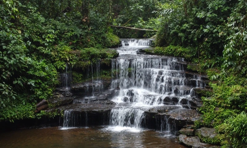 Es uno de los mayores ecosistemas de biodiversidad del mundo y el hogar de miles de especies/ Fotos: El Oriente