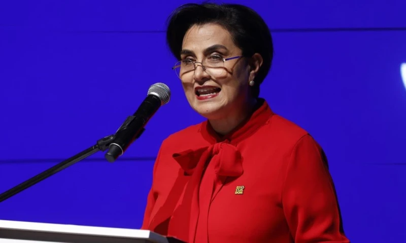 Sommerfeld comenzó su viaje en Santiago de Chile / Foto: EFE