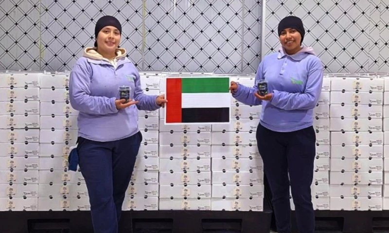 La mayoría de las trabajadoras son mujeres / Foto: cortesía Nobis Fruit