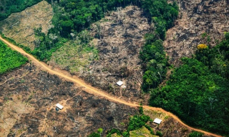El presidente Gustavo Petro aseguró que su gobierno podría compensar la ausencia de estos fondos / Foto: cortesía Más Colombia