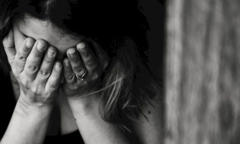 El proyecto inició en febrero de 2024 / Foto: cortesía Meganoticias